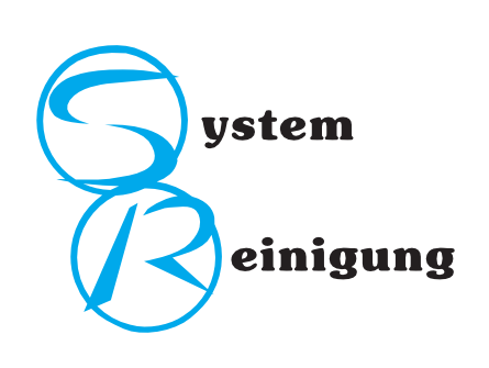 Systemreinigung